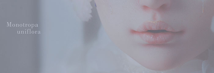 BJD SD 人偶 娃娃 BJD古风 BJD三分